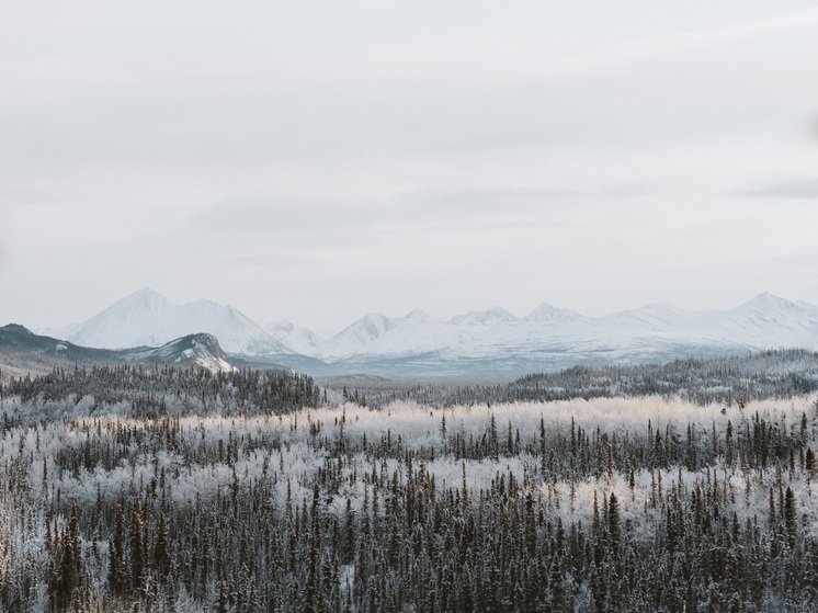 В НАО готовятся к штабной тренировке по гражданской обороне
