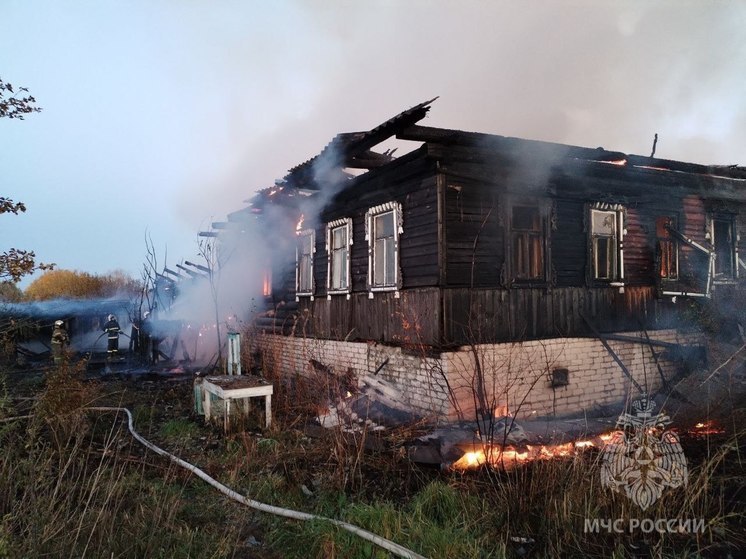 64-летний мужчина погиб при пожаре в Нижегородской области