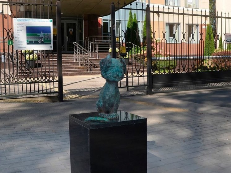 Власти раскрыли, за чей счет финансируется установка новых Барсиков в Пскове