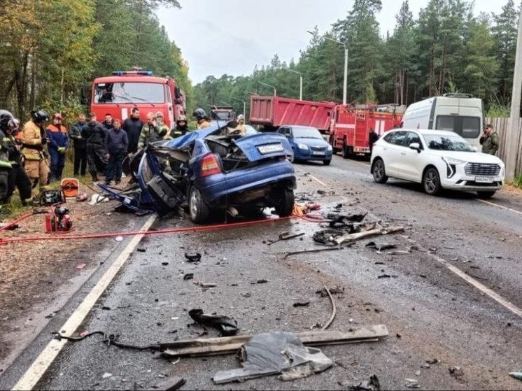 Обгон по обочине и выезд на встречку: в Ломоносовском районе в ДТП погибли двое