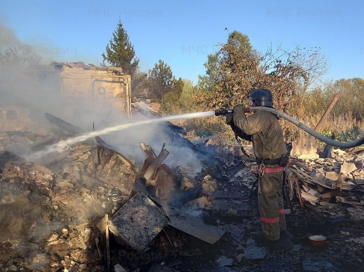 В Золотухинском районе Курской области из-за поджога сгорели 6 домов и 5 хозпостроек