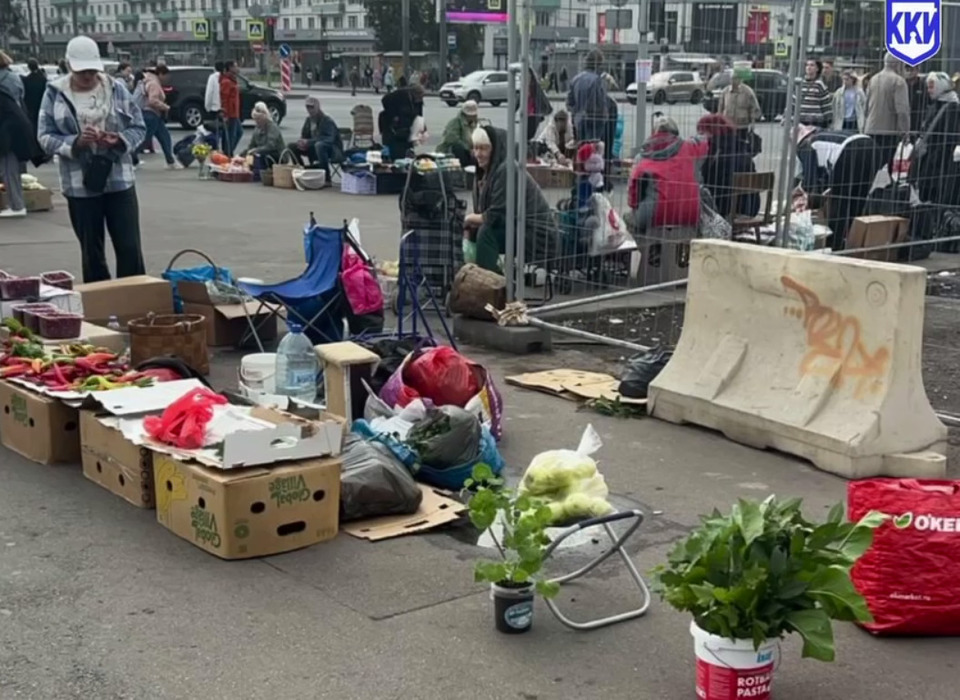 В Петербурге освободили 15 земельных участков от незаконной торговли: объекты демонтированы, продукция изъята