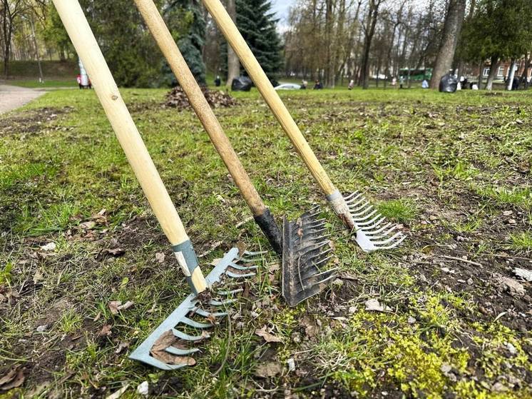 Традиционный месячник по благоустройству и уборке города начался в Пскове