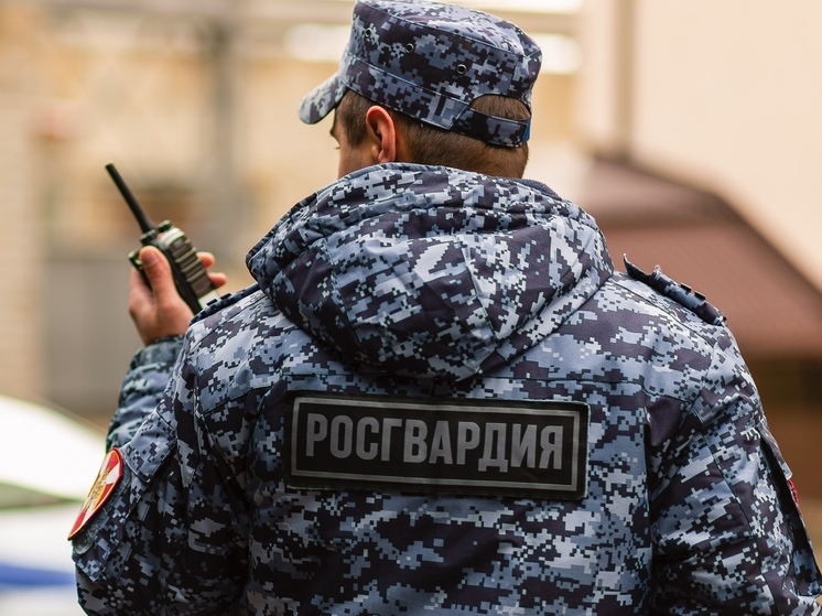 Росгвардейцы пресекли попытку кражи в одном из пензенских ТЦ