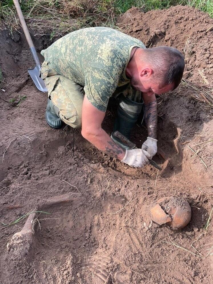В Тверской области обнаружили останки неизвестного красноармейца