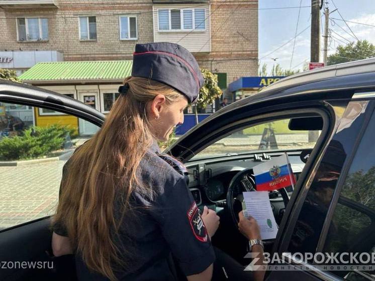 Запорожские дети попросили водителей быть осторожнее на дороге