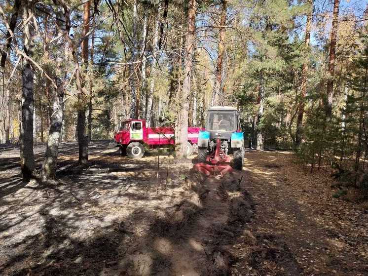 За прошедшие сутки в Пензенской области было ликвидировано 7 лесных пожаров