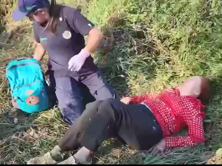 Пропавшую пенсионерку нашли под Ногинском при помощи вертолета