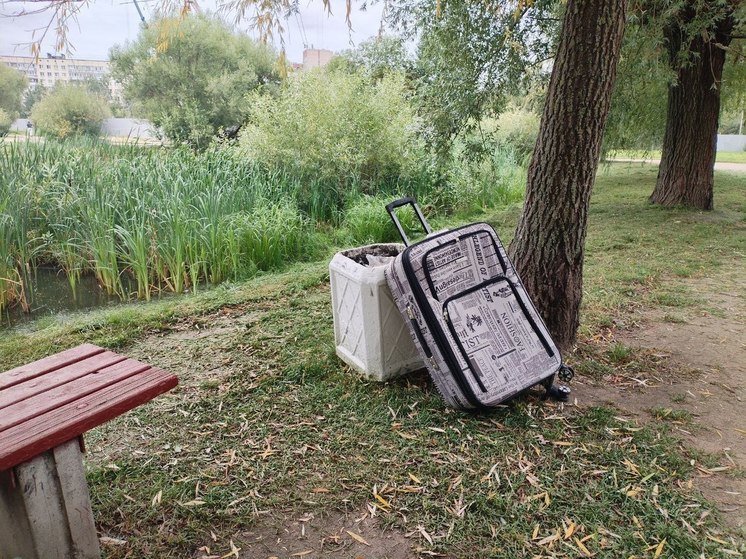 Камеры, янтарь и украшения: что пытались вывезти из Калининграда в сентябре