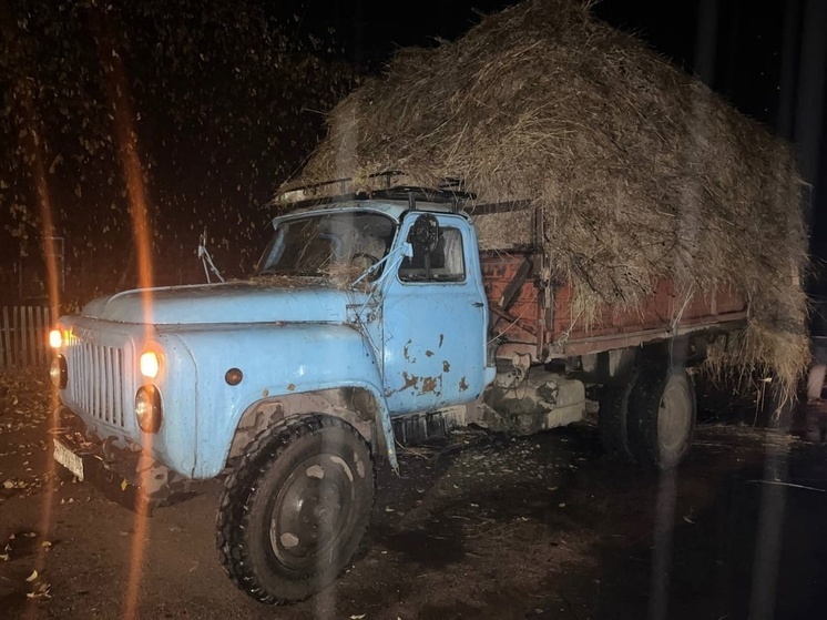 В Каа-Хемском районе Тувы в ДТП  погиб мотоциклист