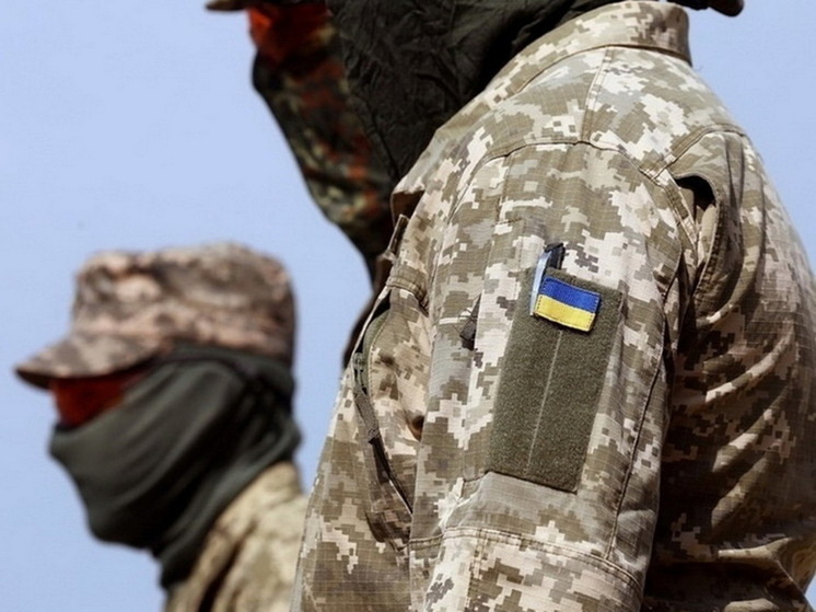 Украинский военкор Бутусов раскритиковал результаты ВСУ в Курской области