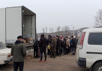 Всем пострадавшим от летних паводков жителям Забайкальского края выдали овощные или комбинированные продуктовые наборы взамен утраченного урожая