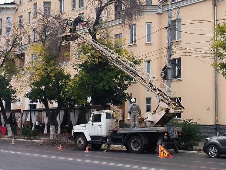 В Астрахани продолжаются работы по опиловке деревьев