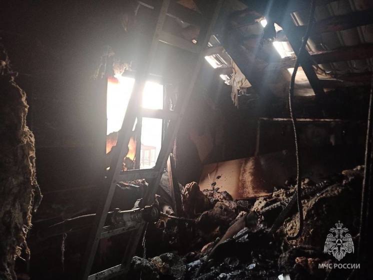За прошедшие сутки в Пензенской области ликвидировано 17 пожаров