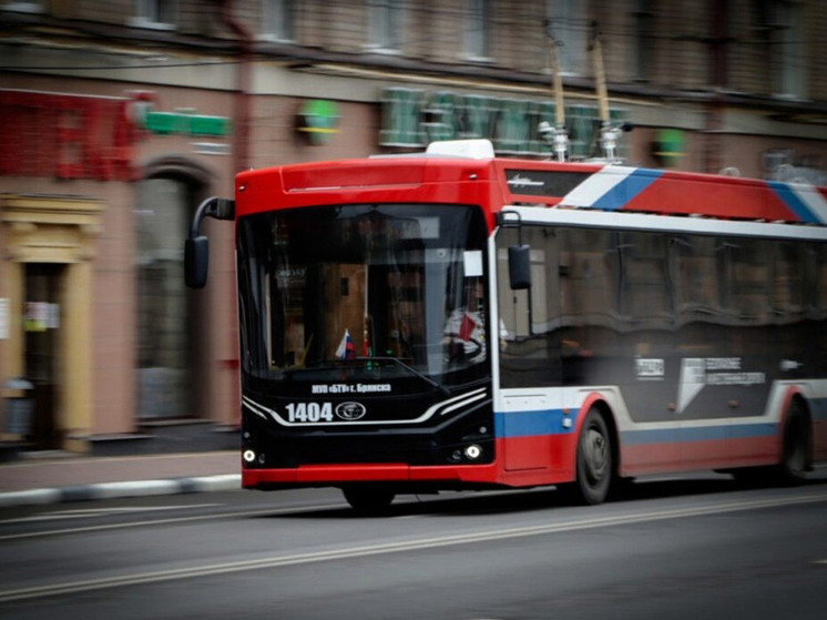 После обрыва электролинии в Брянске восстановлено троллейбусное сообщение