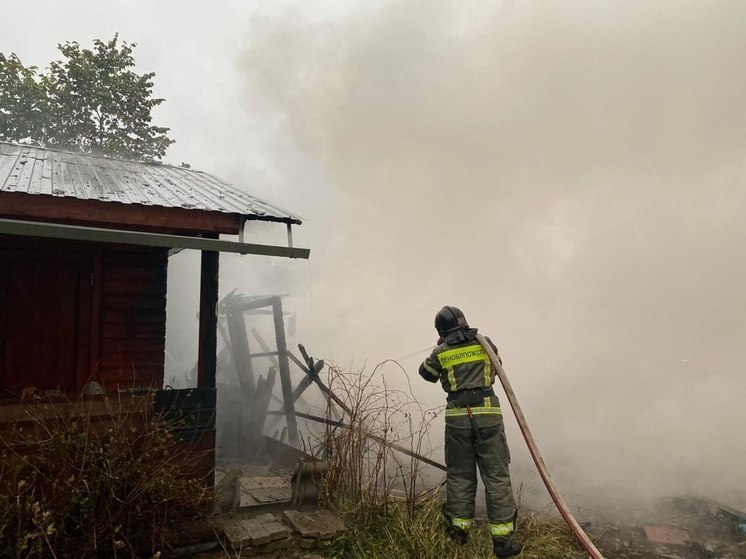 Дым окутал СНТ «Рассвет-1» — в Мшинской сгорел дом и хозпостройки