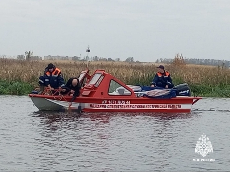 Костромские спасатели нашли в реке Шача тело погибшего дайвера