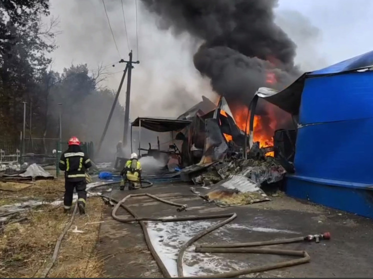 В Воронежской области локализовали пожар на складе с пропиленом