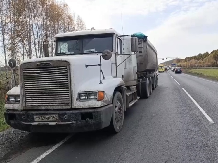 В Кузбассе грузовик насмерть сбил пешехода