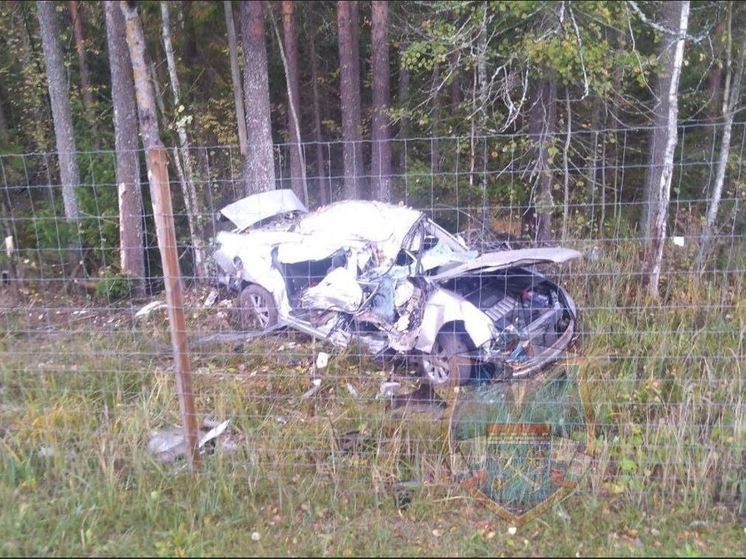 На трассе «Кола» водитель заснул за рулем и съехал в кювет