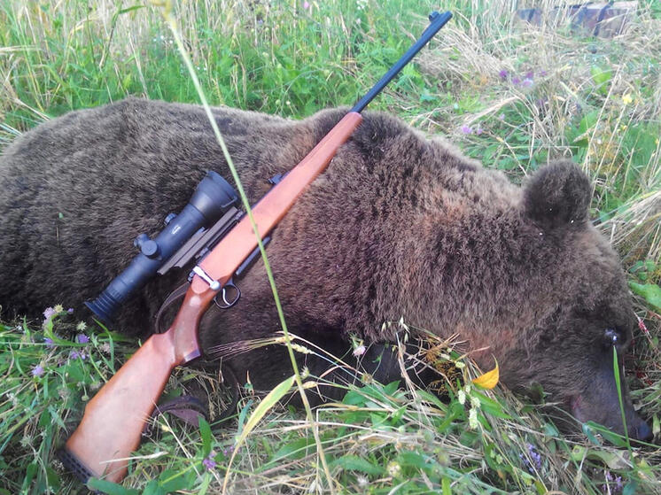 В Кировской области зарегистирован новый случай трихиннелёза