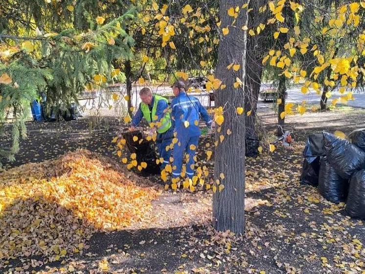 Пензенские станкостроители поучаствовали в общегородском осеннем субботнике