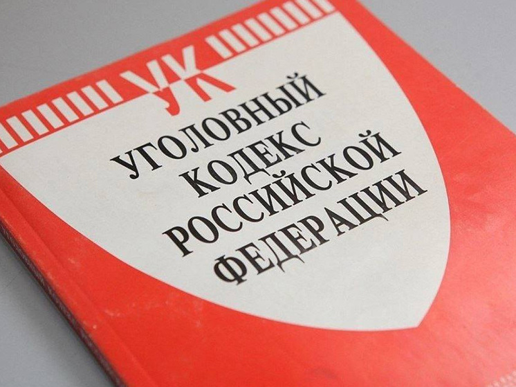 Житель Липецка подозревается в вовлечении подростка в кражи