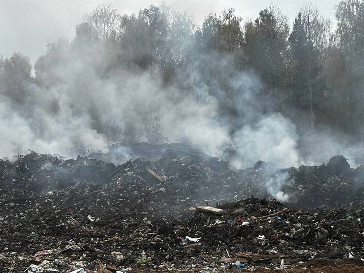 В Ермиши Рязанской области загорелась мусорная свалка