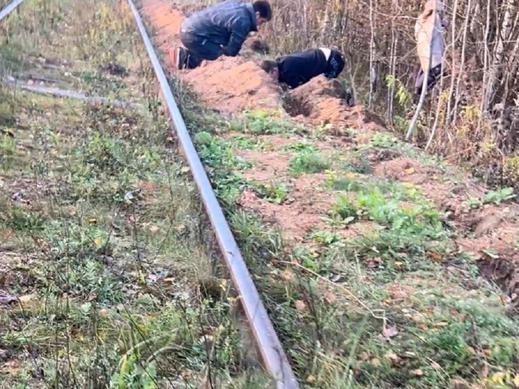 "Вам они нужны?": у железной дороги под Тверью на видео попали наглые расхитители металла