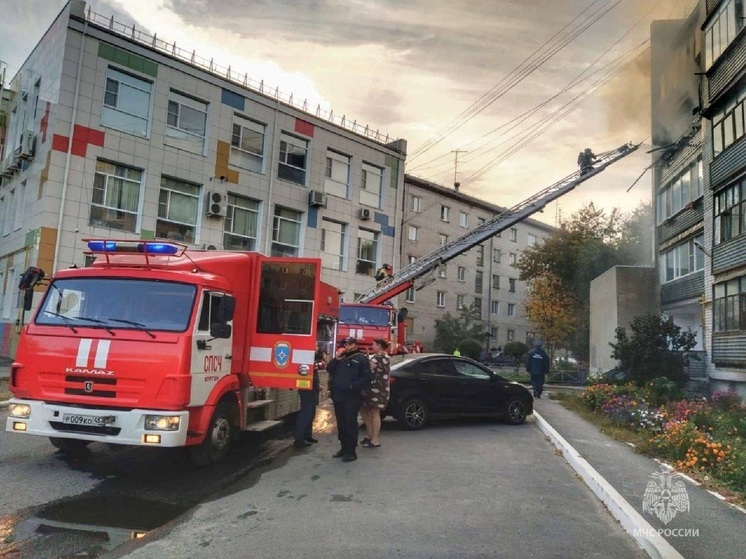 В Кургане пожарные эвакуировали 14 жильцов и кота из пылающей многоэтажки