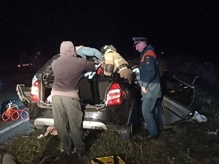 Четыре человека погибли в ДТП с лосем в Омской области