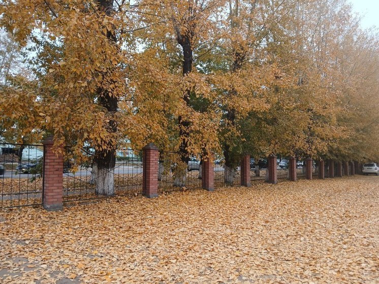 В Бурятии сегодня будет солнечно