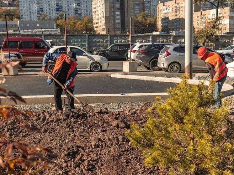 Новые скверы появятся во Владивостоке до конца октября