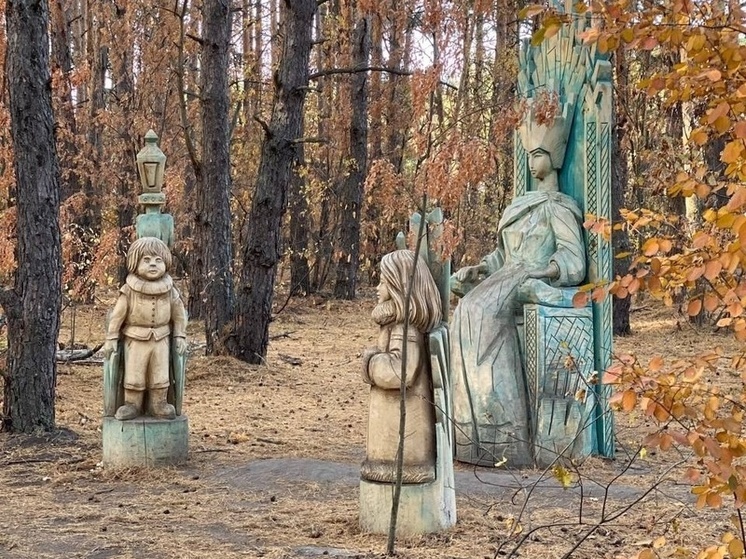 Жители СНТ «Вишенка» проголосовали за снос пензенского парка «Древландия»