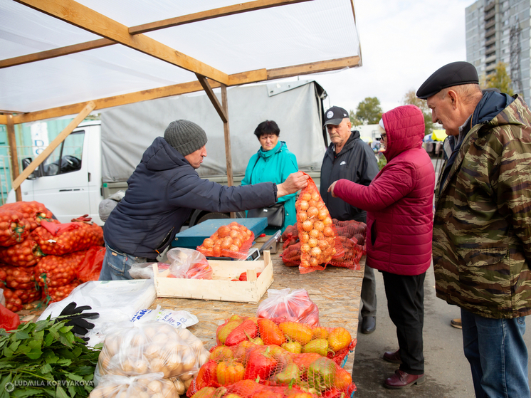 Жители Петрозаводска скупают овощи и зелень на ярмарке