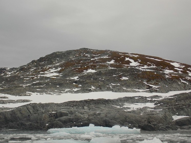 Спутниковые снимки стремительно зеленеющей Антарктиды поразили ученых угрожающей скоростью