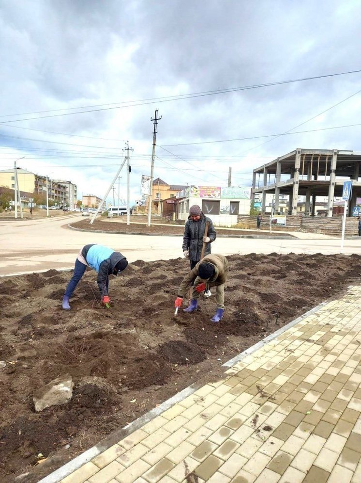  В Бурятии высаживают саженцы