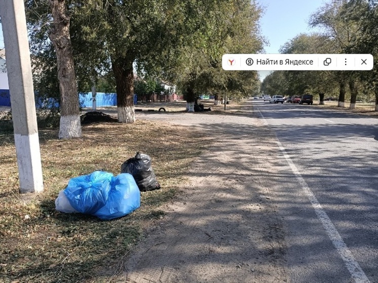 В райцентре Калмыкии произошел мусорный коллапс