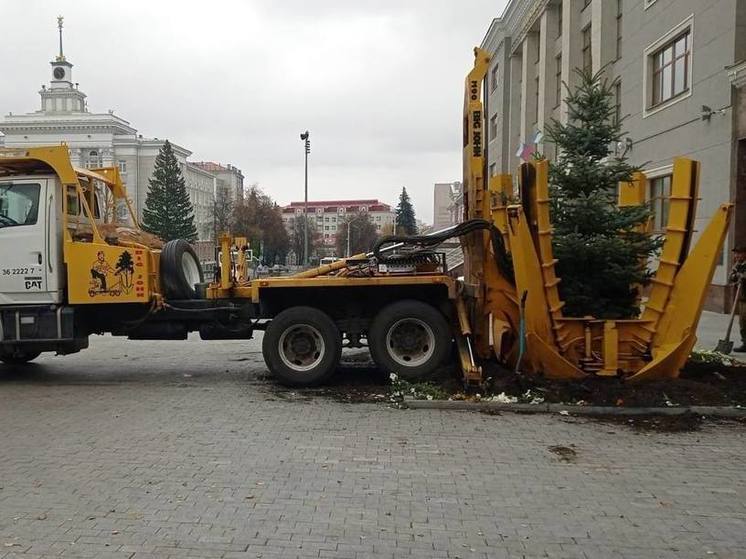 На Советской площади в Уфе посадили новые ели