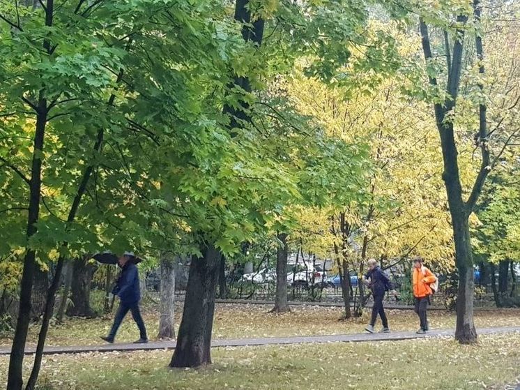 В Подмосковье обильные дожди прошли в Серпухове