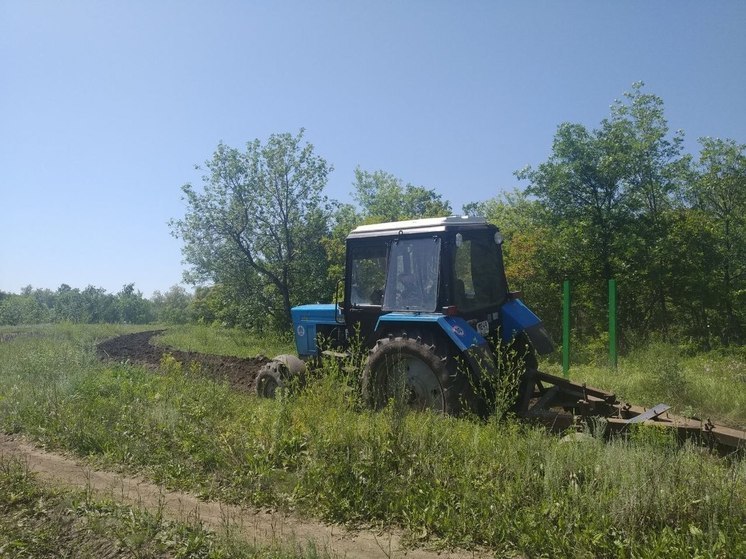 В Гагаринском районе Саратова до конца ноября пройдет противопожарная опашка