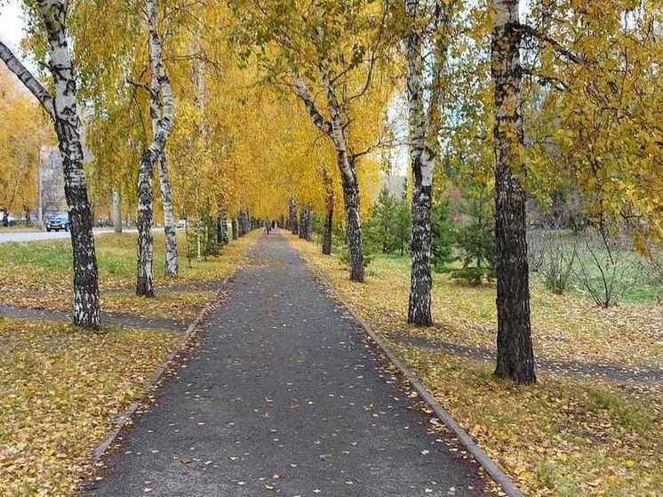 В Новосибирске на новой рабочей неделе ожидаются дождь и снег