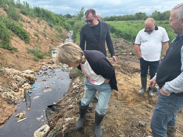 В областном минприроды рассказали, что будет сделано для решения проблемы свалки в поселке Барсуковка под Советском