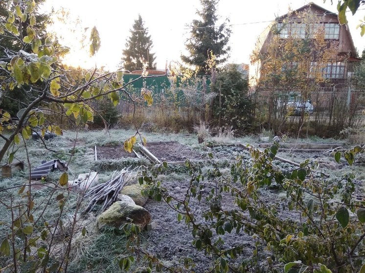 Как подготовить загородный дом к зиме: советы специалиста