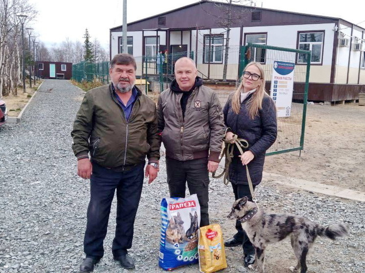 Два питомца салехардского приюта обрели новых владельцев