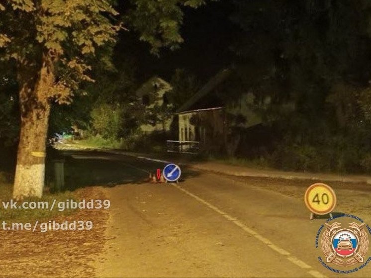 В Черняховском районе сбили 70-летнего пешехода