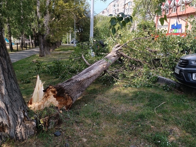 Штормовое предупреждение объявили в Курганской области