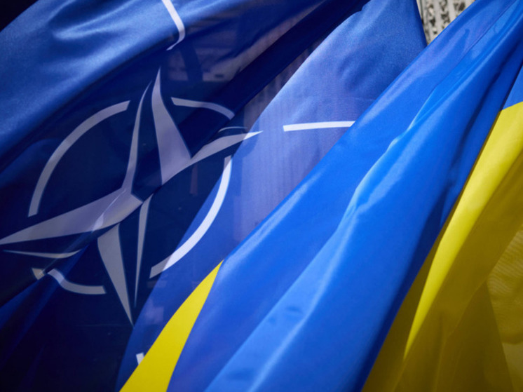 Корниенко: Украина может вступить в НАТО раньше, чем в ЕС