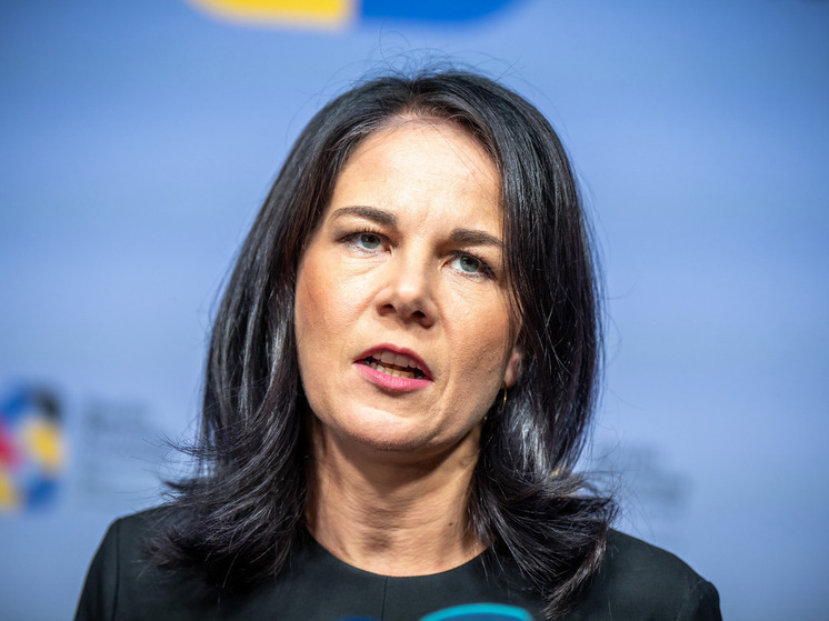 Депутат Шеремет назвал заявление Бербок об ударах вглубь России безумством