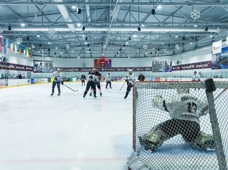 Очередной сезон Ночной хоккейной лиги стартовал в Подмосковье